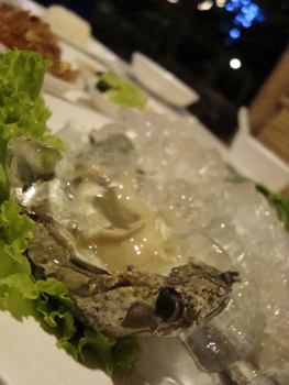 หอยนางรม