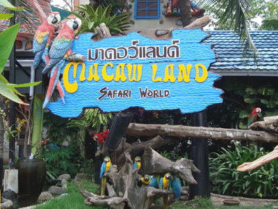 Macaw Land