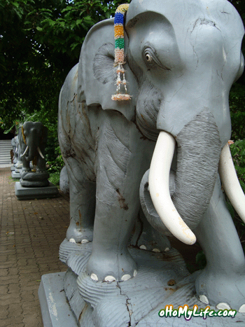 ช้างปั้น